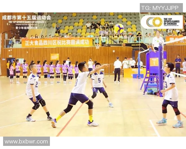 成都排球队的成长历程与奋斗精神全景纪实