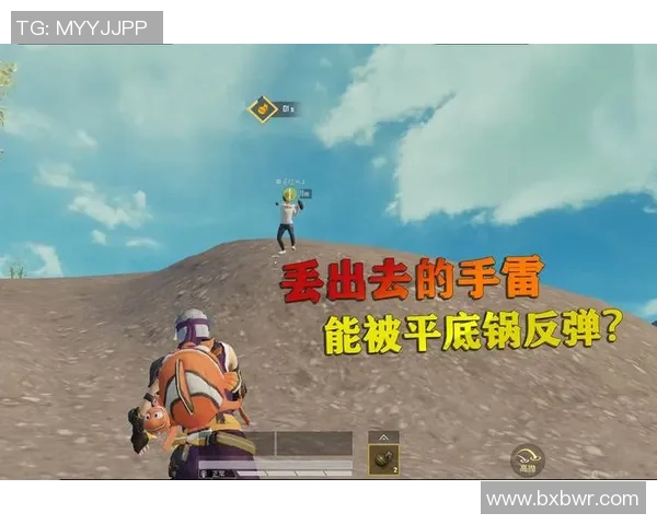 揭秘和平精英成功背后的故事与杨伟的独特见解