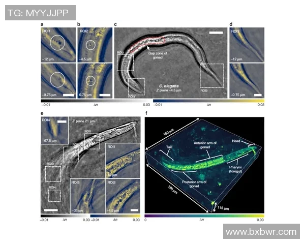 赛后复盘分析上海攀岩队与南京攀岩队的团队协作表现与策略探讨