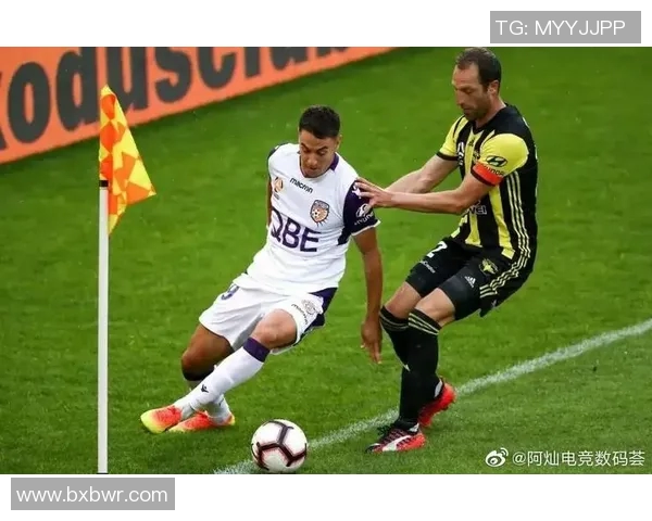 珀斯光辉对决惠林顿凤凰期待精彩赛事与激情碰撞 珀斯光辉对决惠林顿凤凰期待精彩赛事与激情碰撞