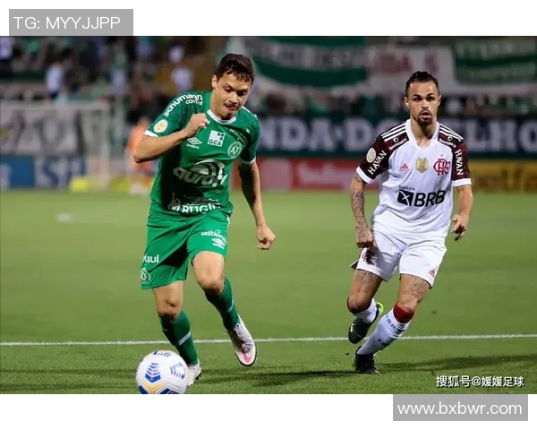 米美洲与帕梅拉斯激战在即谁能在这场对决中笑到最后 米美洲与帕梅拉斯激战在即谁能在这场对决中笑到最后